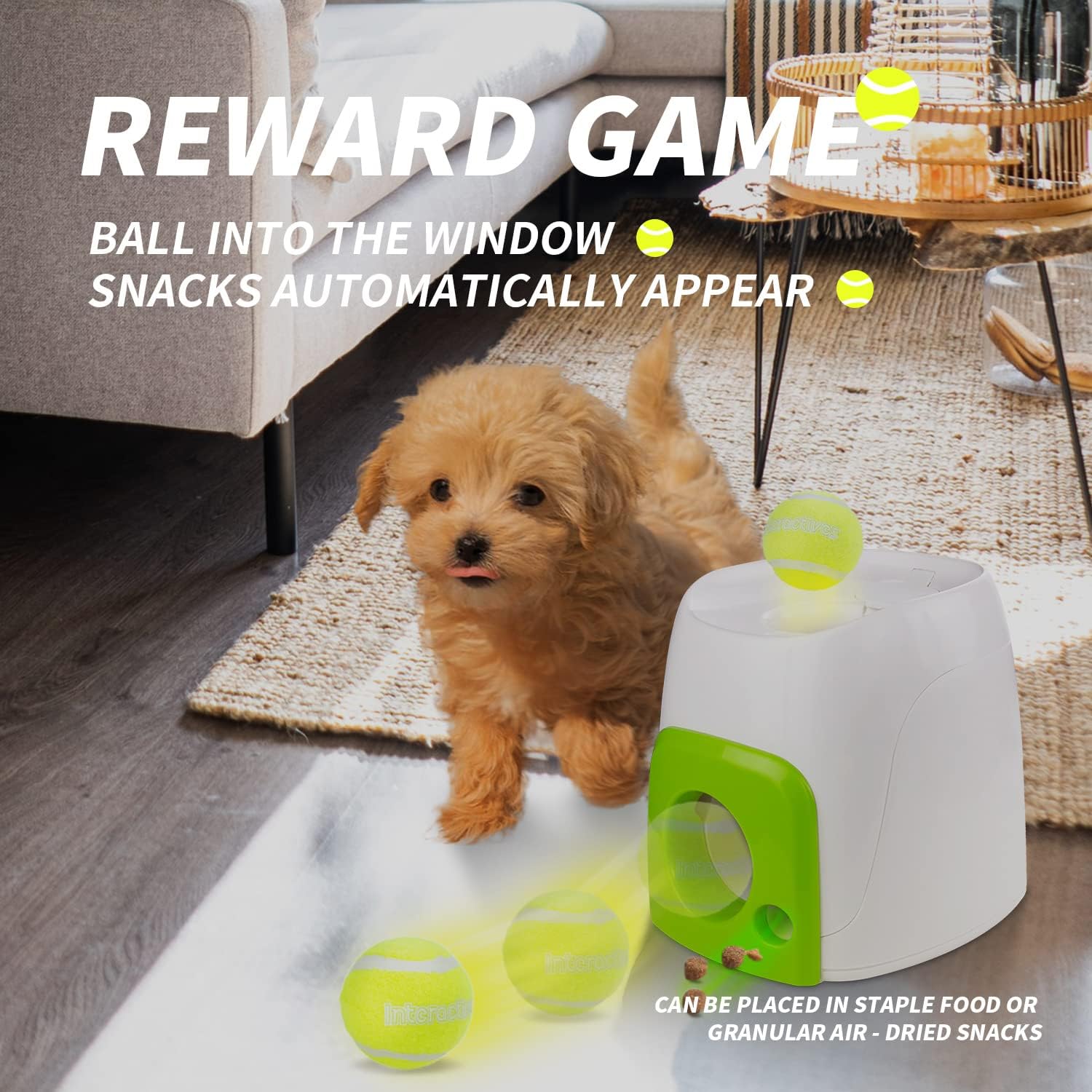 Interactive dog toys and play products