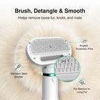 2-in-1 Pet Hair Dryer & Brush