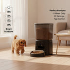 Dog eating from the automatic pet feeder