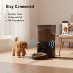 Pet feeder shown beside a food bowl for scale