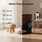 Phone app showing the live camera view from the feeder