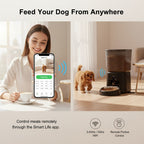 Feeding schedule and portion settings in the companion app