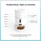 Smart Wifi Video Version Of Small One Pet Automatic Feeder Timing And Quantitative