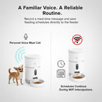 Smart Wifi Video Version Of Small One Pet Automatic Feeder Timing And Quantitative